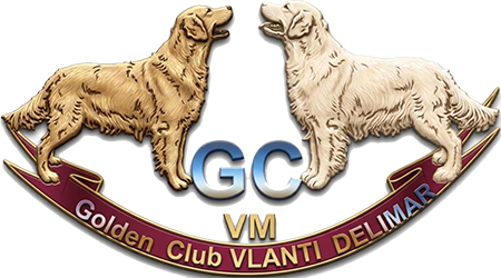 Golden club VLANTI DELIMAR