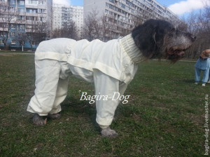 919926d2bc1dea0f54090c65f8cm--dlya-domashnih-zhivotnyh-kombinezon-ot-kleschej.jpg