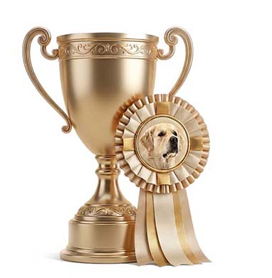 Puello Oris Indigo Gem — Чемпион Беларуси