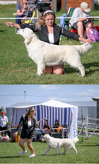 Ulana Mendi VLANTI DELIMAR 