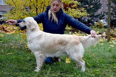 POLETTE VLANTI DELIMAR