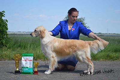 VLANTI DELIMAR kennel