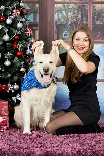 vlanti delimar puppies