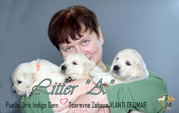 Марина и малыши от CH Puello Oris Indigo Gem х Ch Tsarevna Zabava VLANTI DELIMAR 